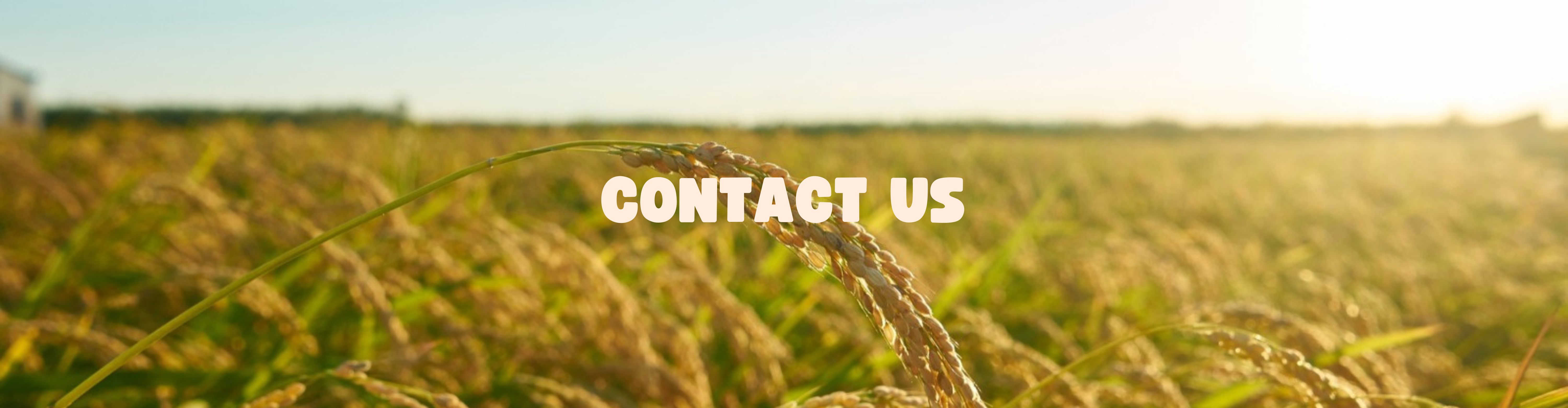 Ahlawat Agro Implements